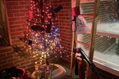 CFD-0-Town-Christmas-Trees-19