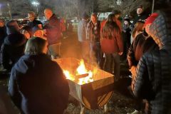 CFD-Town-Christmas-Trees-01