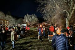 CFD-Town-Christmas-Trees-02