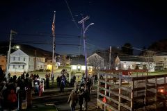 CFD-Town-Christmas-Trees-03