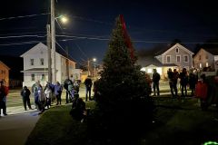 CFD-Town-Christmas-Trees-05