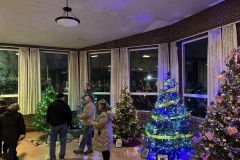 CFD-Town-Christmas-Trees-06