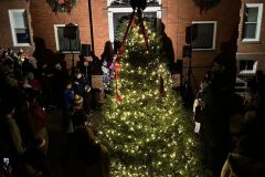 CFD-Town-Christmas-Trees-09