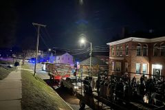 CFD-Town-Christmas-Trees-10