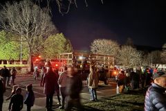 CFD-Town-Christmas-Trees-14